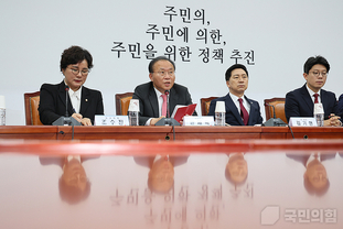 與, "탈북자 강제 북송 규탄 결의안 위한 민주당 전향적인 자세가 필요하다"
