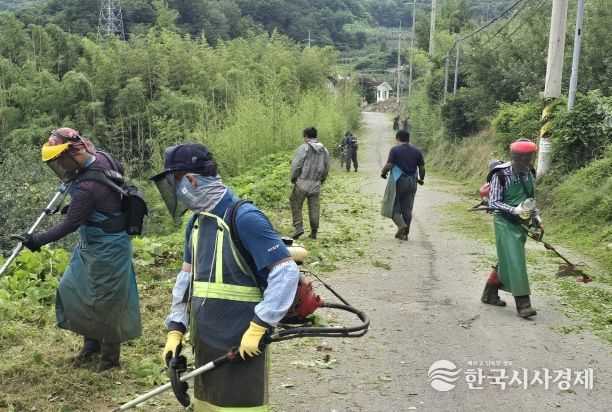 얼음골청년회와 얼음골특우회가 5일 풀베기 작업을 하고 있다.