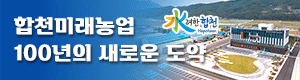배너