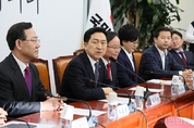 與, "날마다 의회 폭거 일삼는 민주당 우리 땅 독도마저 정쟁에 이용하는가"