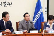 野, 政府 與黨, "무개념 정책 국민을 허탈케 합다"