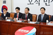 與, "한미혈맹은 정략적 소재가 될 수 없다"