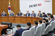 與, 민주당 반복되는 공무상 비밀 유출, "대책과 반성을 촉구한다"