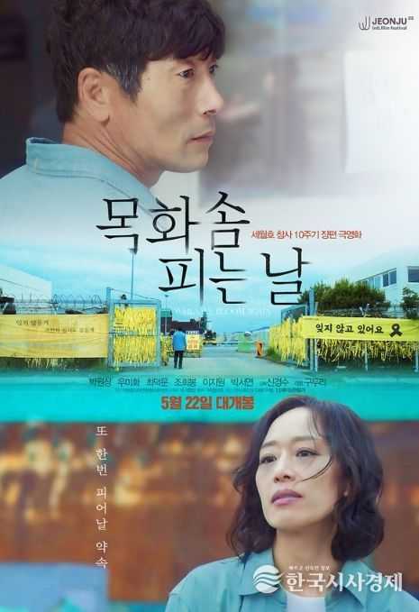 목화솜 피는 날