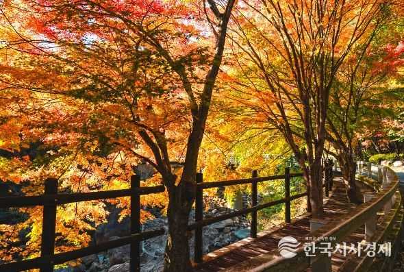 산청 대원사계곡길