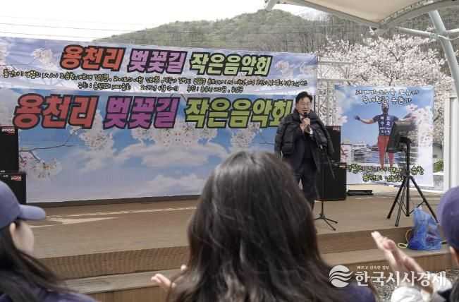 용천리 벚꽃길걷기 작은음악회