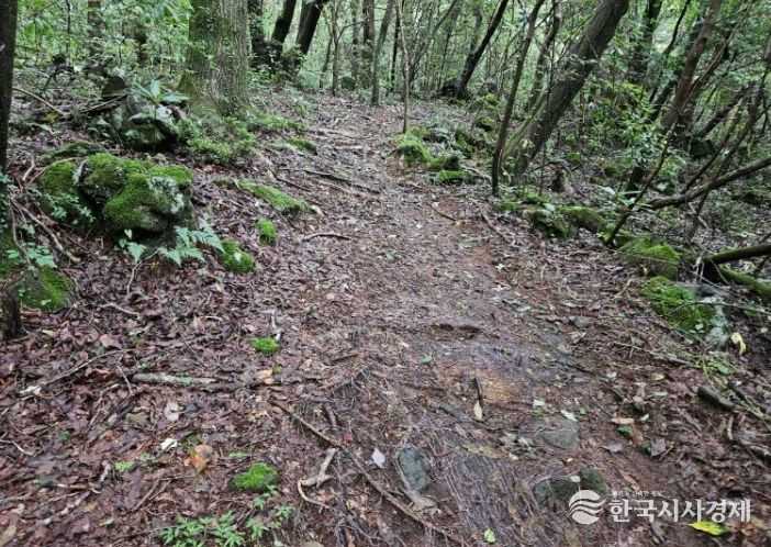 서귀포자연휴양림 숲길산책로