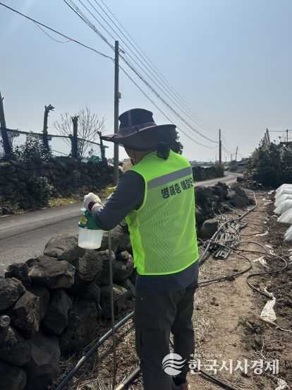 제주농업기술원, 비래해충 예찰 강화…초기 방제 중요