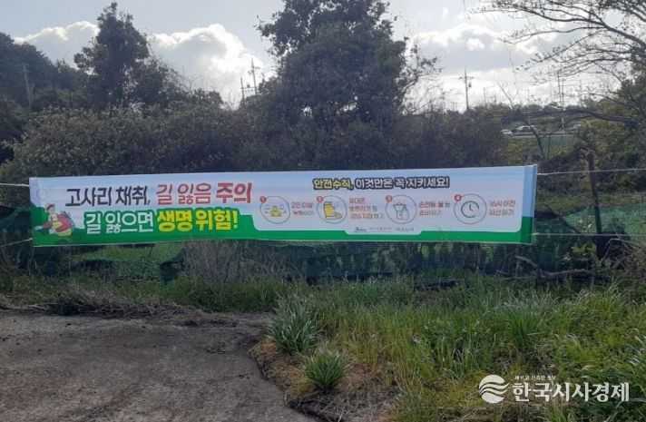 서귀포시, 봄철 고사리철 길 잃음 사고 예방대책 추진