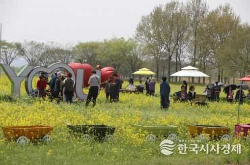 2025 부여세도 방울토마토&유채꽃 축제