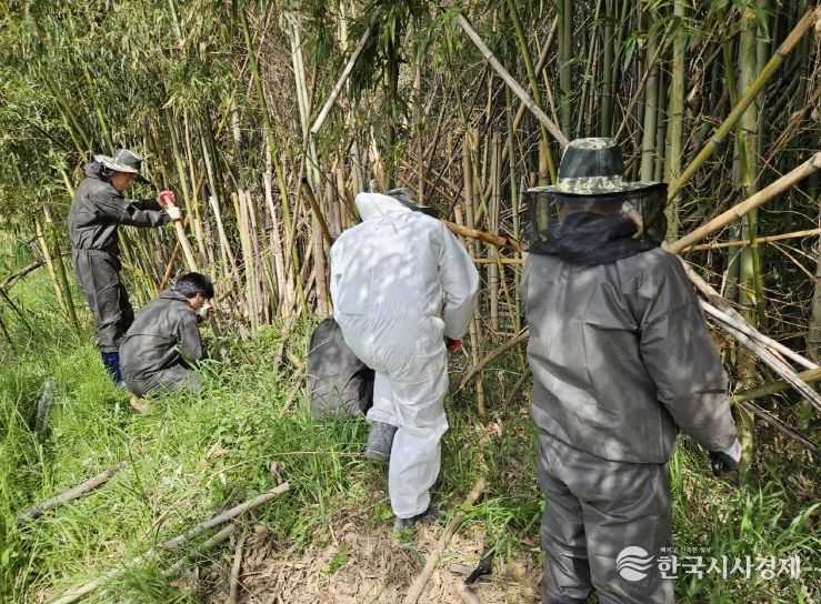 울산시농업기술센터 청량천 대나무숲 환경 정비 실시
