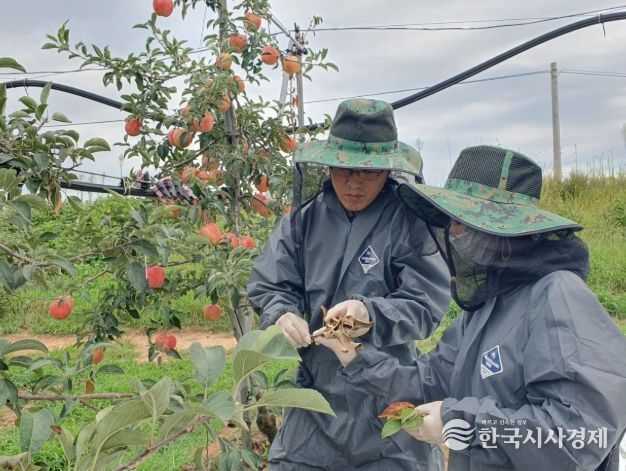 농작물 병해충 예찰·방제단 운영