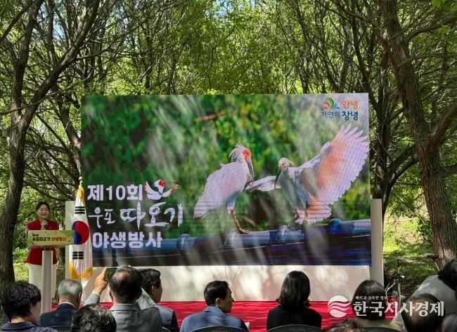 제10회 우포따오기 야생방사