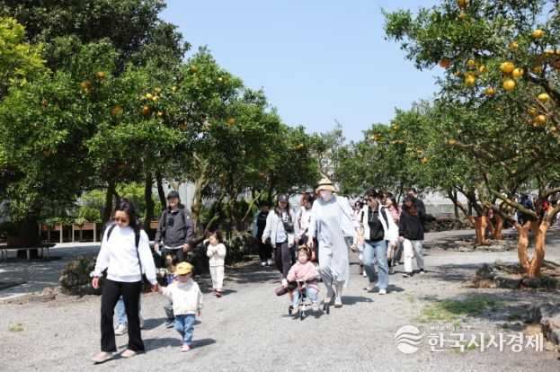 가족과 함께하는 귤꽃계절 소풍