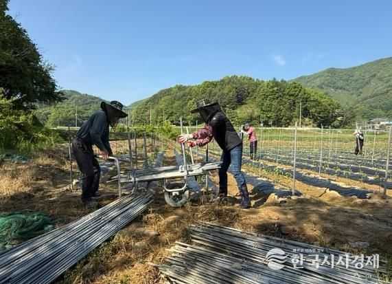 진안군 영농철 농촌일손돕기 총력 추진