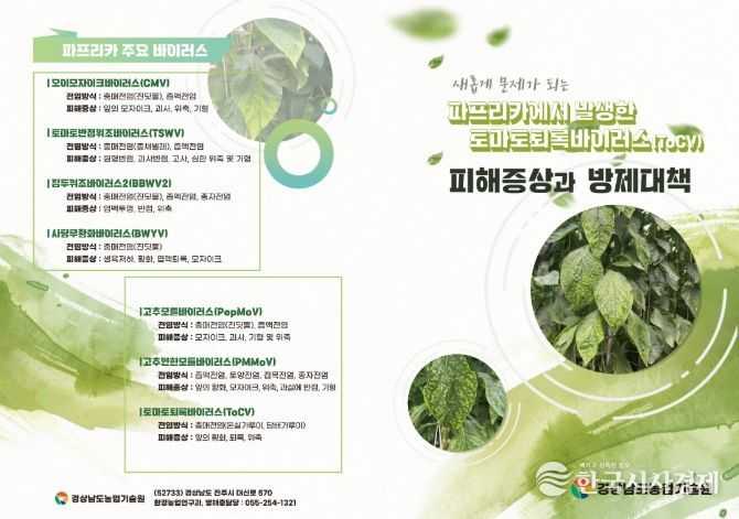 '토마토퇴록바이러스' 리플릿