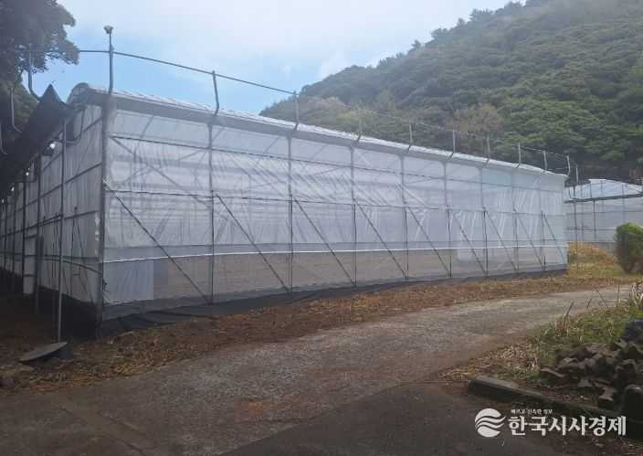 비닐하우스 시설 보수 후