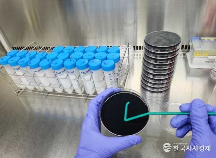 여름철 대비 레지오넬라균 집중 검사!