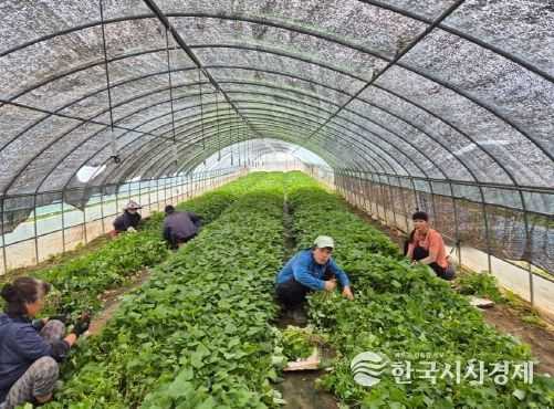 익산시, 외국인 계절근로자 근로현장 살핀다