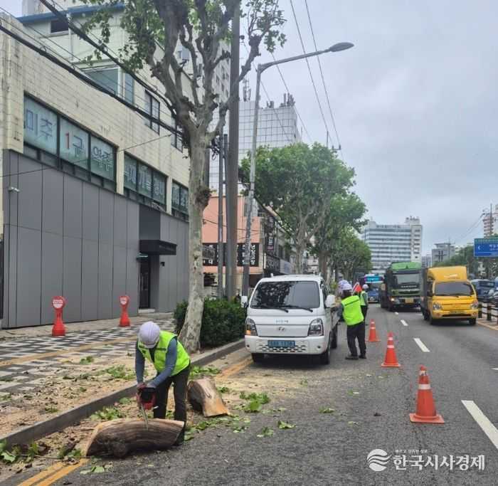 가로수 전도 대비 재난 대응훈련