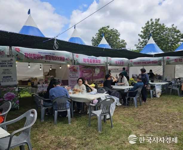 화북면 일원에서 열린 ‘작약꽃 나들이 행사’에 방문한 관람객들