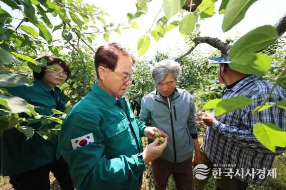 청도군, 우박피해 발생농가 현장점검