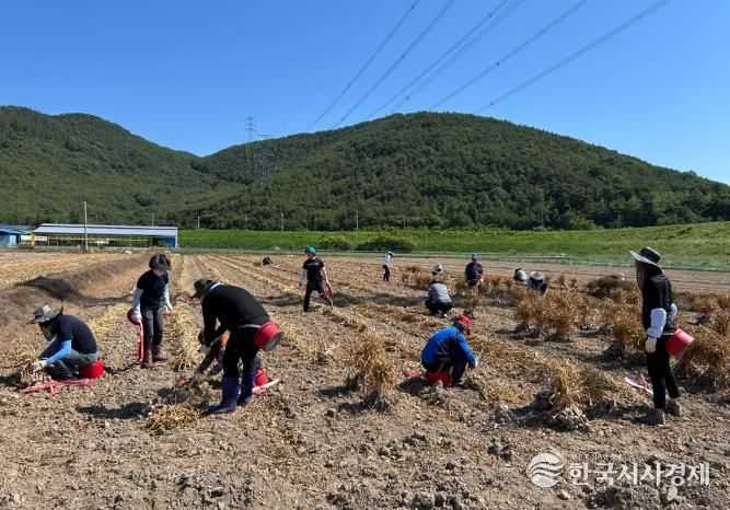 합천군 청덕면·환경위생과, 농촌일손돕기 실시