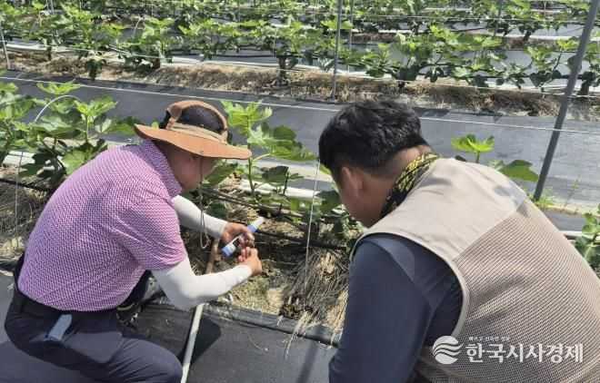 영암군, 무화과 공선출하회 현장 맞춤형 컨설팅 돌입
