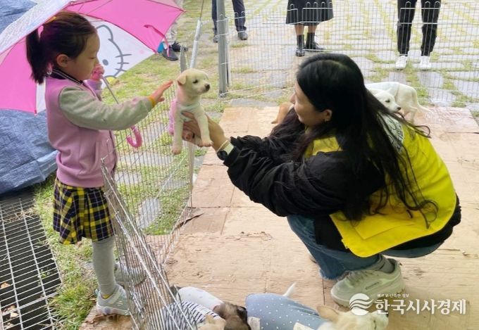 정읍시, 펫보험 최대 15만원 지원