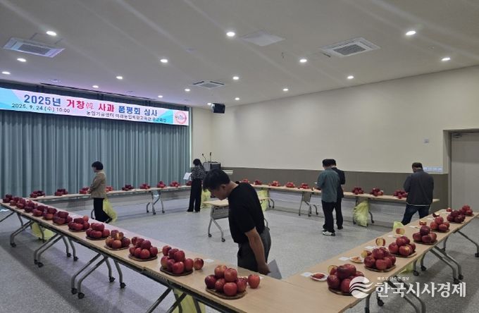 사과 품평회