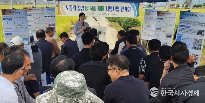 서천군, 벼 직파재배 현장 평가회