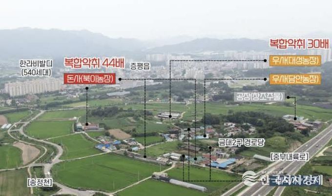 금대지구 농촌공간 정비사업 대상지 악취현황
