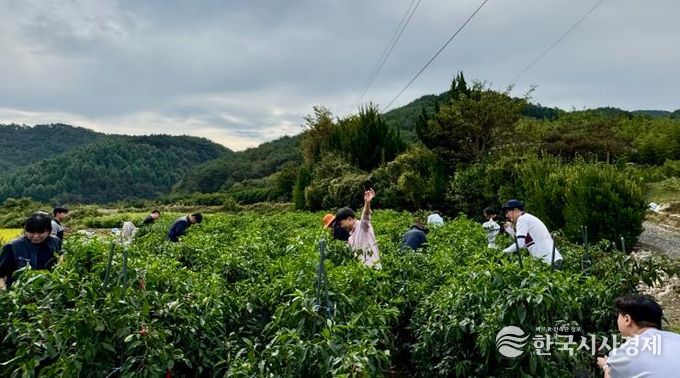 사천시, ‘가을철 농촌일손돕기’ 팔 걷었다-고추수확
