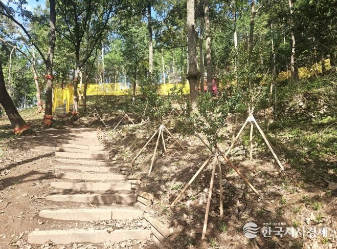 강진군 산림공원 내 어린이 밧줄 체험시설