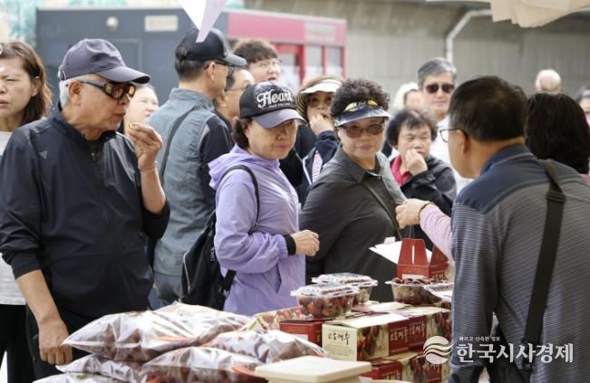 2025 보은대추축제, 이번 주말 보은에서 가을 감성에 흠뻑 빠져보세요