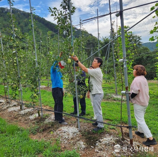 사과 재배 농업인 대상 현장 컨설팅 교육
