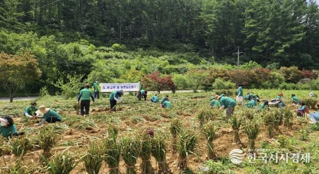 서울새마을부녀회 활동 사진