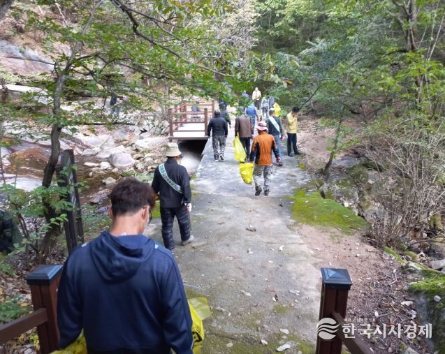 영동군, 물한계곡서 산사태·산불 예방 및 산지 정화 캠페인
