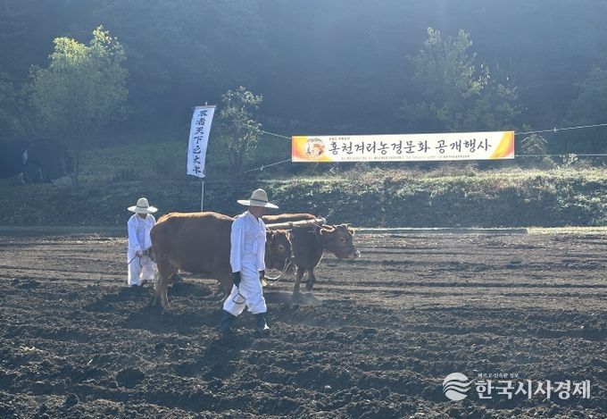 2025 홍천겨리농경문화 공개행사