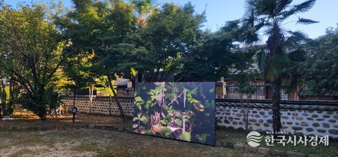 광양 서울대학교 남부연습림 관사...빛의 캔버스로 변신 - 관광과(서울대학교 남부연습림 관사에 설치된 고휘 작가의 ‘사라지는~