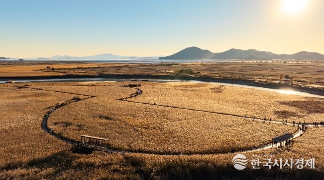 제26회 순천만 갈대축제 개최