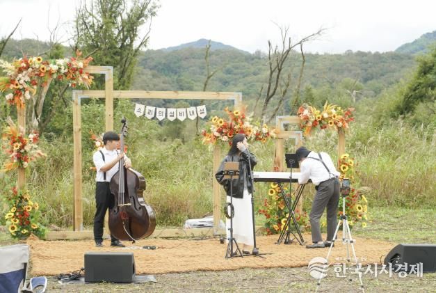 충주시, 은빛 억새 속... '2025 비내섬 이벤트' 개최