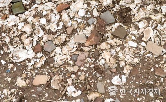 군산시 소재 패총유적 학술조사연구