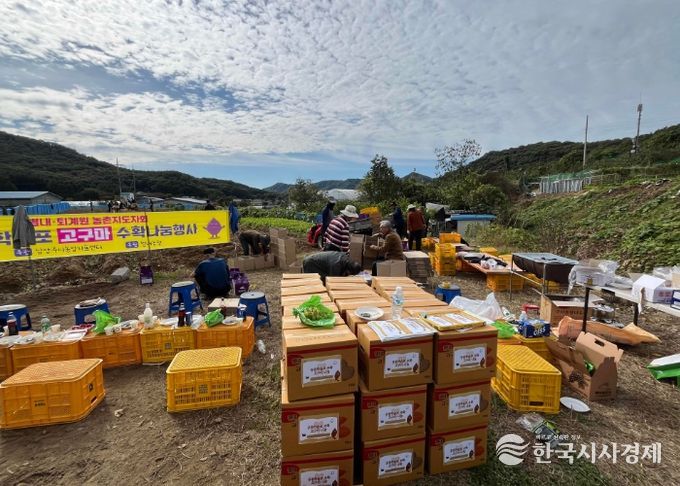 남양주시 농업인단체, 공동학습포 수확으로 ‘나눔의 농심’ 실천