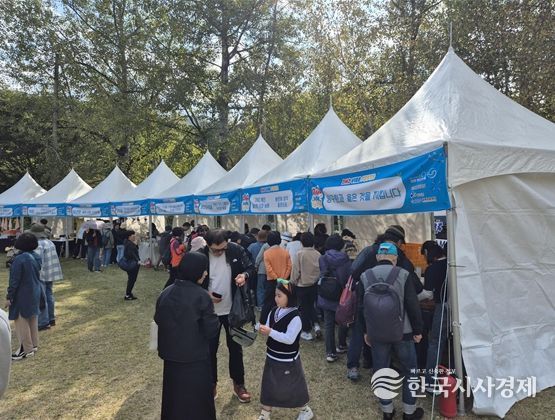양구 감성 축제