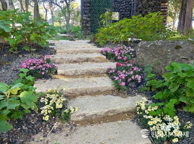 진주시 ‘초전공원’ 가을꽃 식재 ‘눈길’