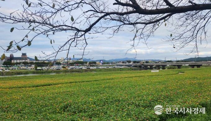 경주시 형산강변