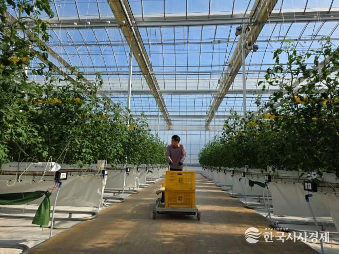 남원시, 26년 청년창업 스마트팜 패키지 지원사업 예산확보