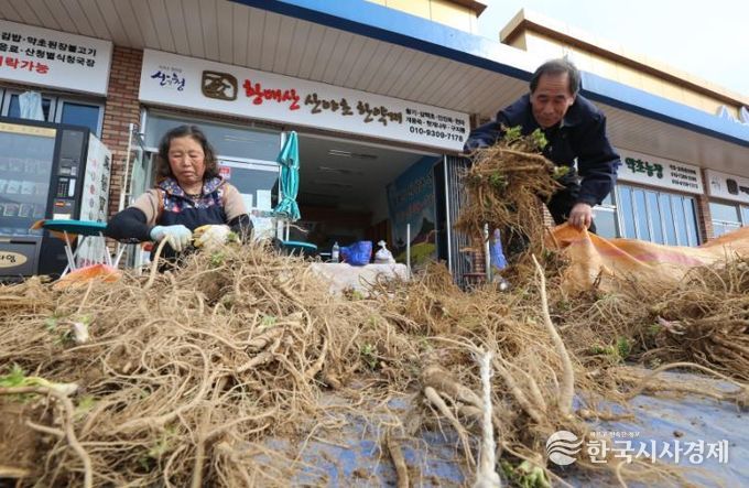 산청군, 동의보감촌 약초 판매장터 운영