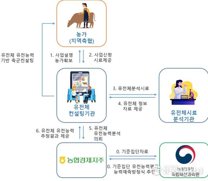 한우 암소 유전체 유전능력 예측 서비스 체계도